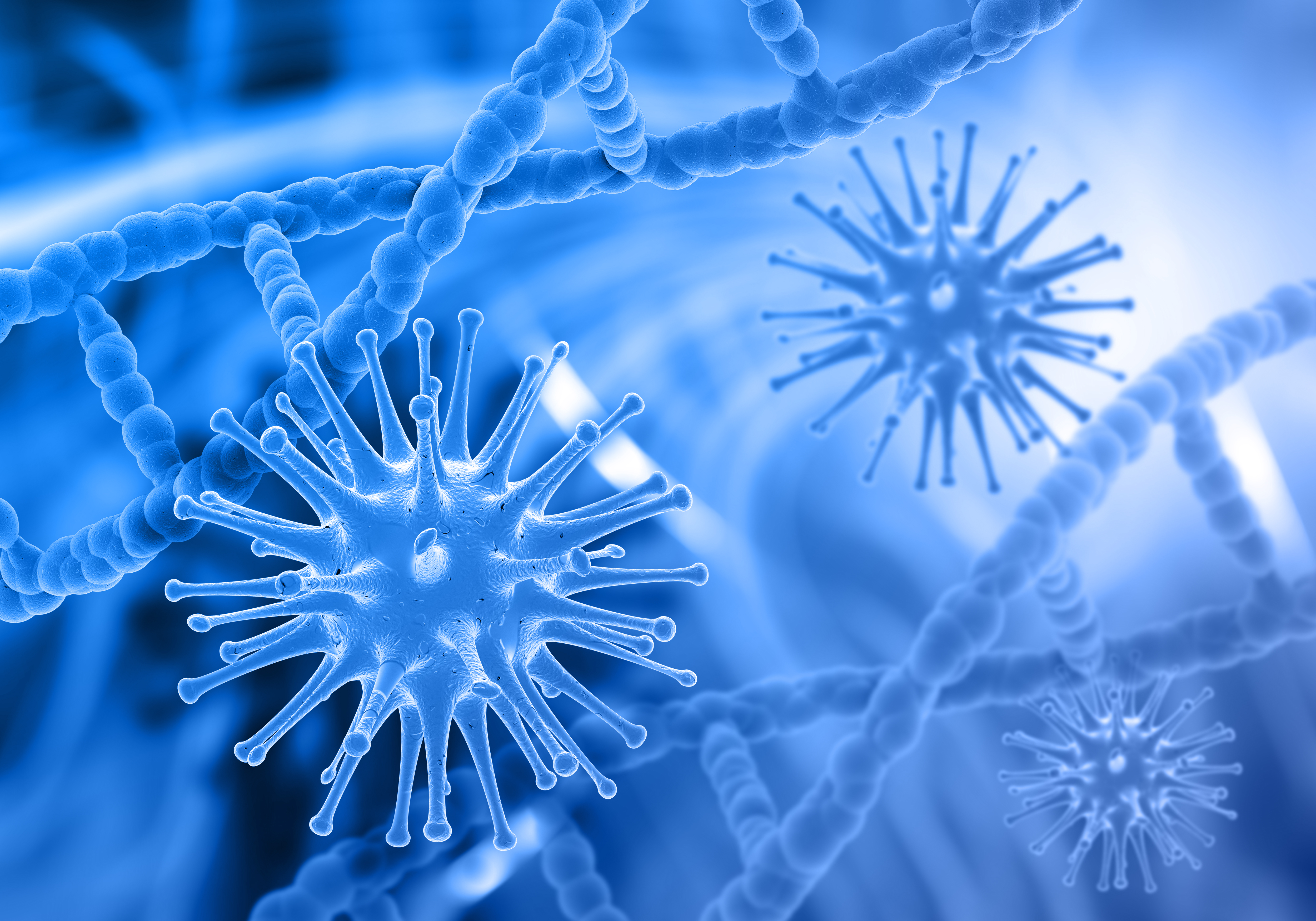 Immune system response and cellular mechanisms